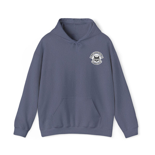 Heavy Blend™ Hooded Sweatshirt